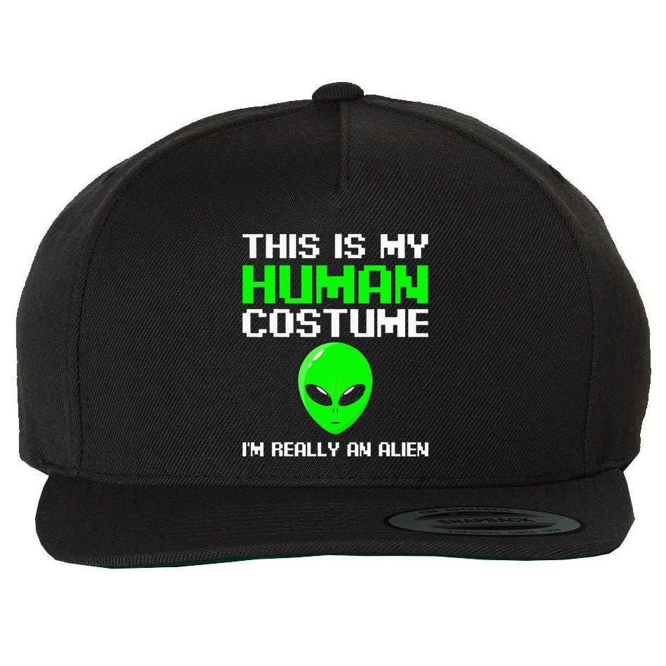 I’m Really An Alien Costume Scary Weird Halloween Wool Snapback Cap