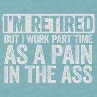 I'm Retired But I Work Part Time As A Pain In The Ass Sueded Cloud Jersey T-Shirt