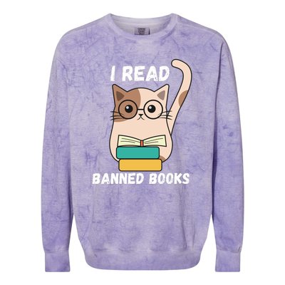 I Read Banned Books Colorblast Crewneck Sweatshirt