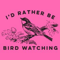 Id Rather Be Bird Watching Birding Nerd Gift Watcher Stripe Pom Pom Beanie