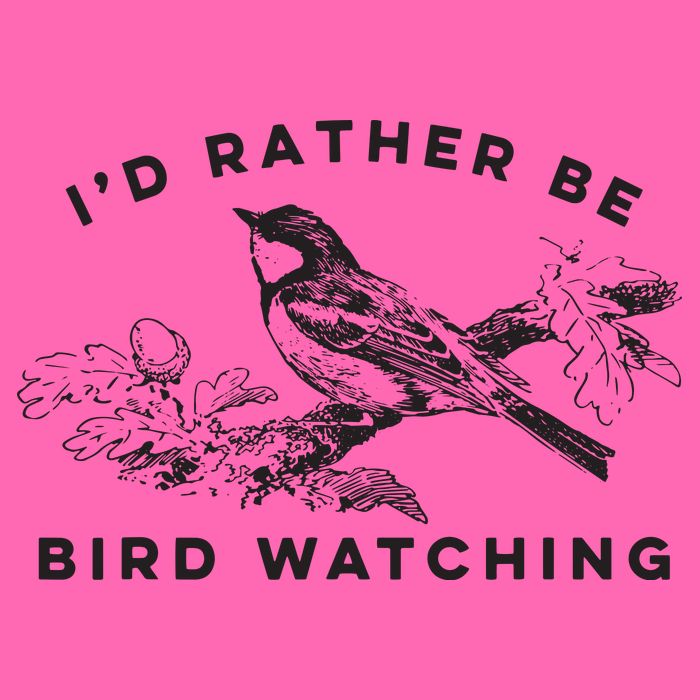 Id Rather Be Bird Watching Birding Nerd Gift Watcher Stripe Pom Pom Beanie