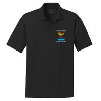 ID Rather Be Storm Chasing Tornado Hurricane Weather Chaser PosiCharge RacerMesh Polo