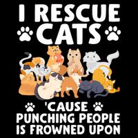 I Rescue Cats Because Punching People Is Frowned Upon Women's V-Neck T-Shirt