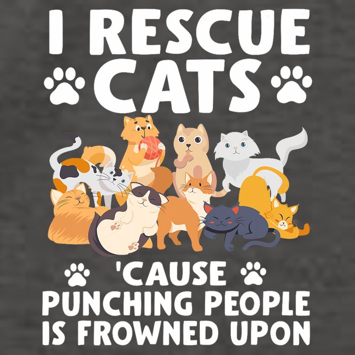 I Rescue Cats Because Punching People Is Frowned Upon Vector Backpack