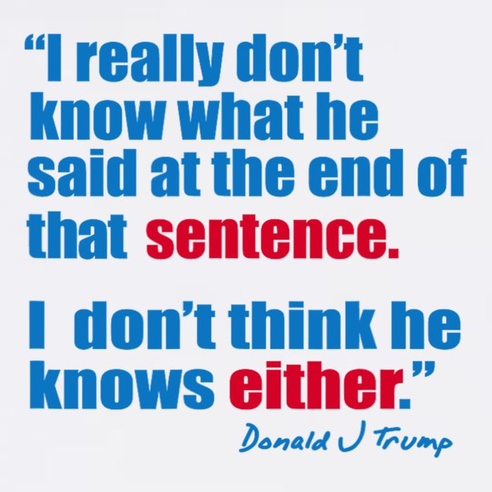 I Really Dont Know What He Said At The End Of That Sentence Poster