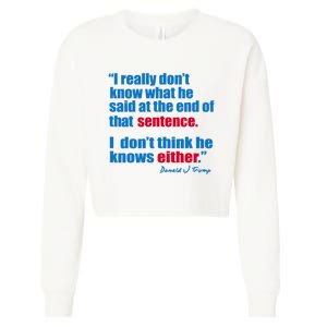 I Really Dont Know What He Said At The End Of That Sentence Cropped Pullover Crew