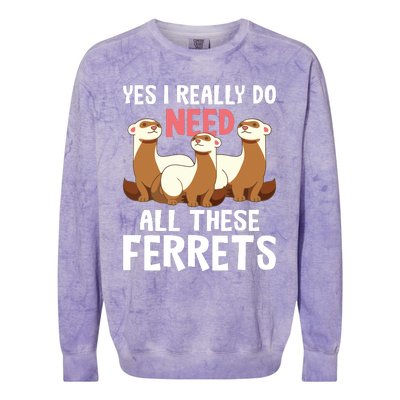 I Really Do Need These Ferrets Ferret Lover Colorblast Crewneck Sweatshirt