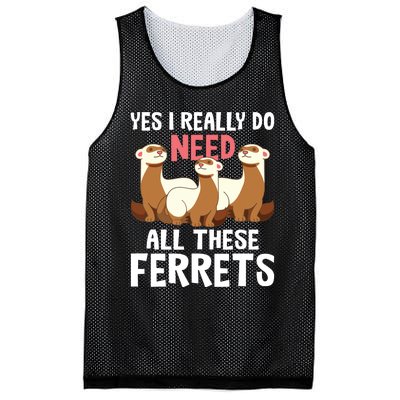 I Really Do Need These Ferrets Ferret Lover Mesh Reversible Basketball Jersey Tank