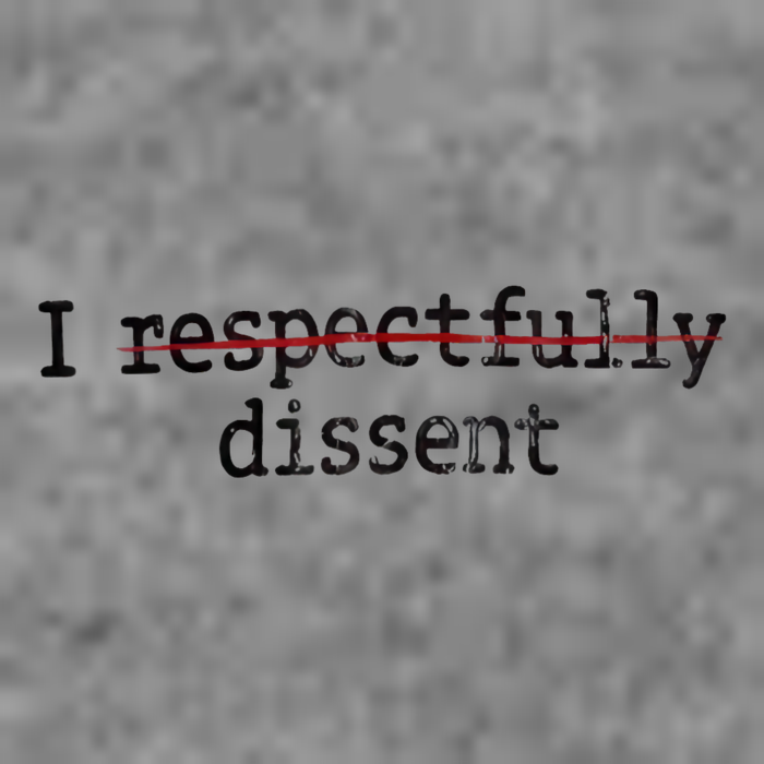 I Respectfully Dissent 7-Panel Snapback Hat