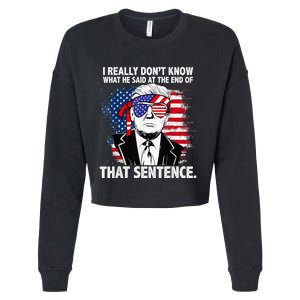 I Really Don’T Know What He Said At The End Of That Sentence Cropped Pullover Crew