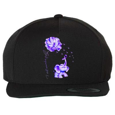 ILl Remember For You Purple Elephant AlzheimerS Awareness Wool Snapback Cap