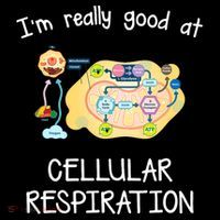 I'm Really Good At Cellular Respiration 16 in Basic Backpack