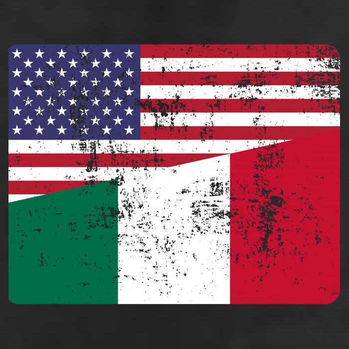 ITALIAN ROOTS Half American Flag USA ITALY FLAG 7 Panel Mesh Trucker Snapback Hat