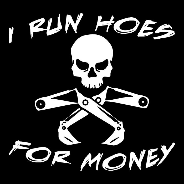 I Run Hoes For Money Crop Top