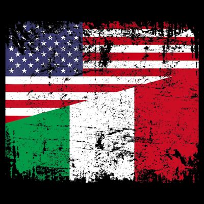 ITALIAN ROOTS | Half American Flag | USA ITALY FLAG TShirt T-Shirt