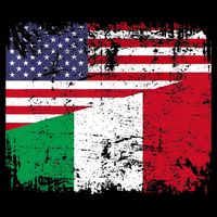 ITALIAN ROOTS | Half American Flag | USA ITALY FLAG TShirt T-Shirt
