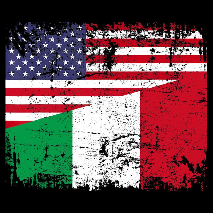 ITALIAN ROOTS | Half American Flag | USA ITALY FLAG TShirt Women's V-Neck T-Shirt