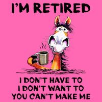 Im Retired I Dont Have To I Dont Want To Horse Stripe Pom Pom Beanie