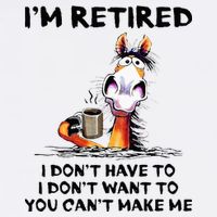 Im Retired I Dont Have To I Dont Want To Horse Mug