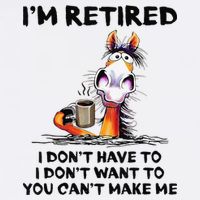 I'm Retired I Don't Have To I Don't Want To Horse Baby Bodysuit