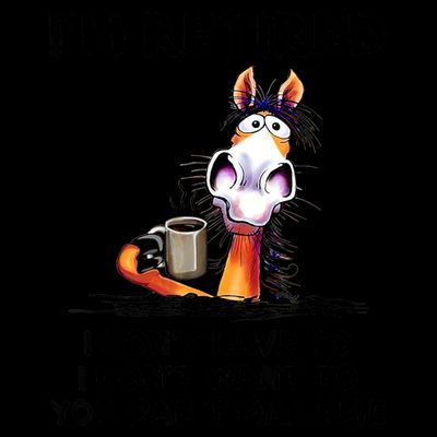 Im Retired I Dont Have To I Dont Want To Horse T-Shirt