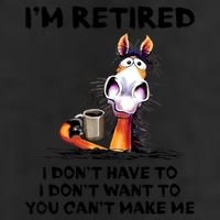 Im Retired I Dont Have To I Dont Want To Horse Premium Pullover Hoodie