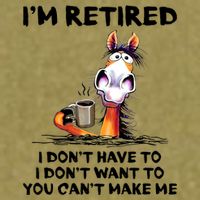 Im Retired I Dont Have To I Dont Want To Horse Garment-Dyed Women's Muscle Tee