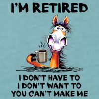 Im Retired I Dont Have To I Dont Want To Horse Sueded Cloud Jersey T-Shirt
