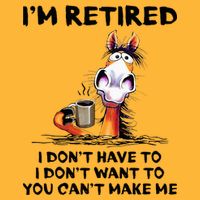 IM Retired I DonT Have To I DonT Want To Horse Pom Pom 12in Knit Beanie
