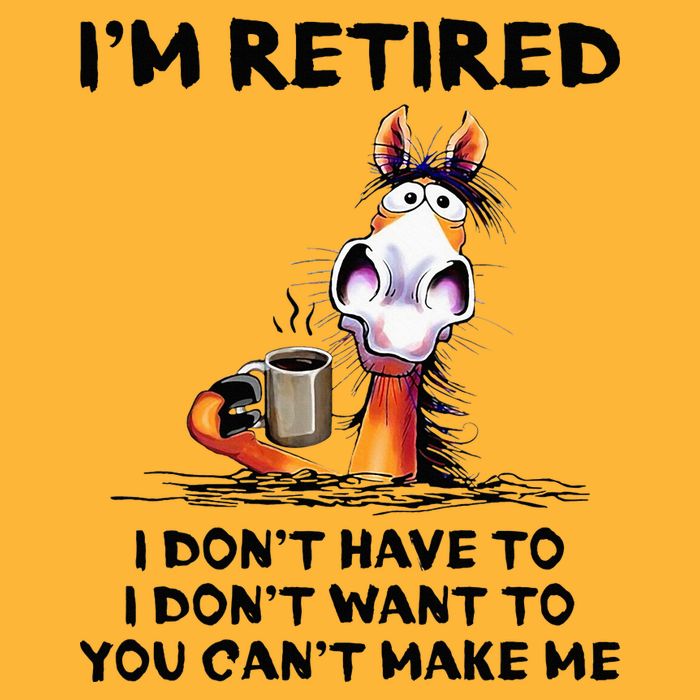 IM Retired I DonT Have To I DonT Want To Horse Pom Pom 12in Knit Beanie