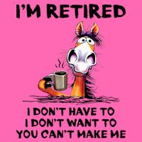 IM Retired I DonT Have To I DonT Want To Horse Stripe Pom Pom Beanie
