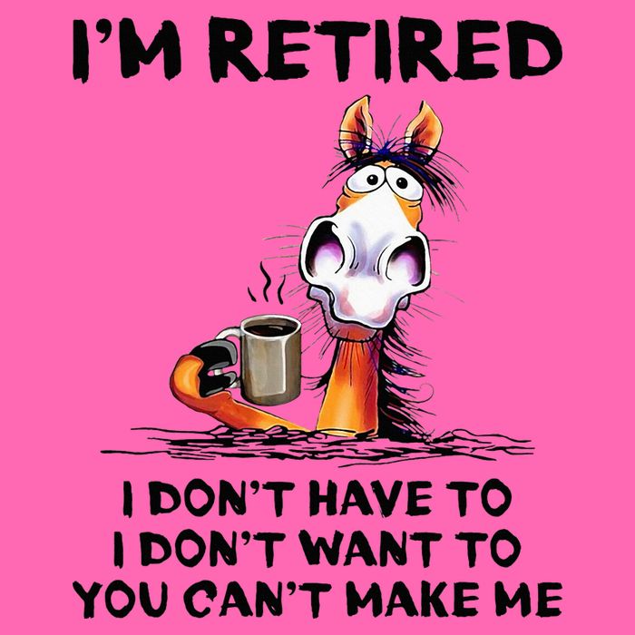 IM Retired I DonT Have To I DonT Want To Horse Stripe Pom Pom Beanie