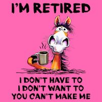 Im Retired I Dont Have To I Dont Want To Horse Stripe Pom Pom Beanie