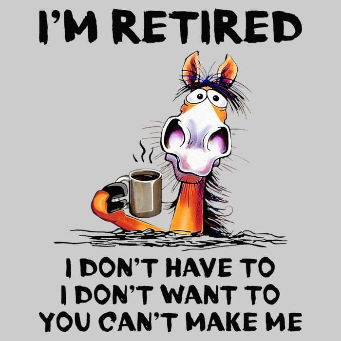 Im Retired I Dont Have To I Dont Want To Horse Tie-Dye T-Shirt