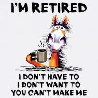 Im Retired I Dont Have To I Dont Want To Horse Premium T-Shirt