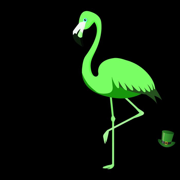 Irish Flamingo Mug