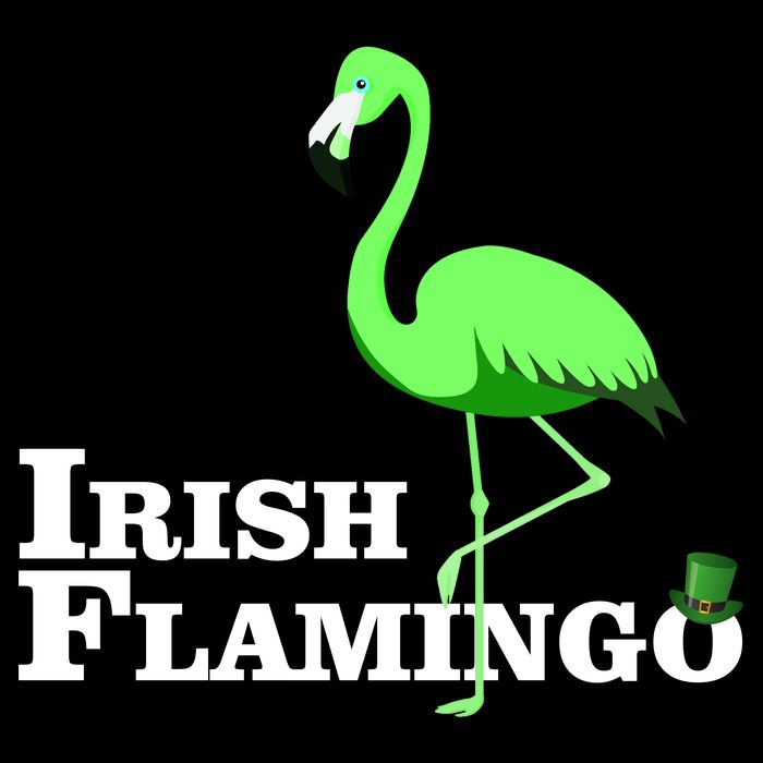 Irish Flamingo Kids T-Shirt