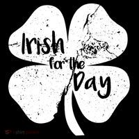 Irish For The Day Crop Top