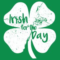 Irish For The Day Hoodie