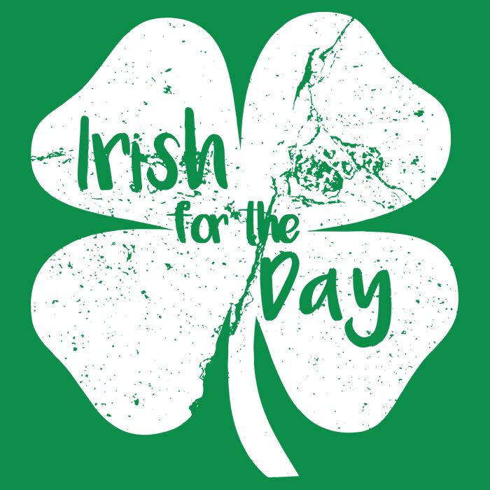 Irish For The Day Hoodie