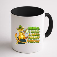Irish I had A Beer Right Meow Mug