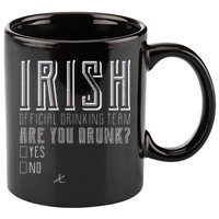 Irish Official Drinking Team Are You Drunk 11oz C Handle Ceramic Mug