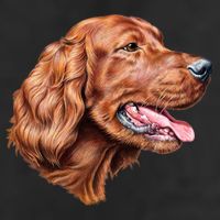 Irish Setter Portrait Tumbler