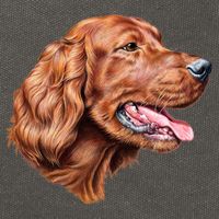 Irish Setter Portrait Cotton Canvas Backpack