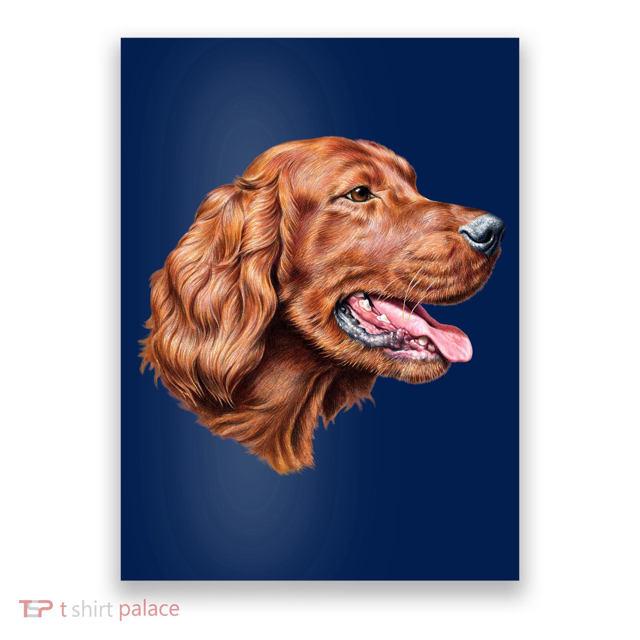 Irish Setter Portrait Poster