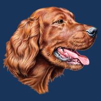 Irish Setter Portrait Toddler T-Shirt