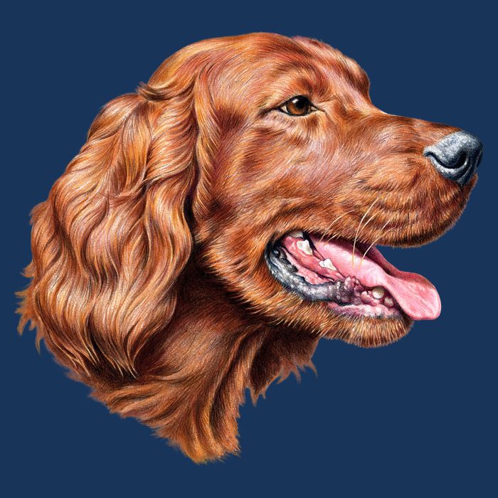 Irish Setter Portrait Toddler T-Shirt