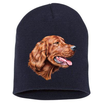 Irish Setter Portrait Short Acrylic Beanie