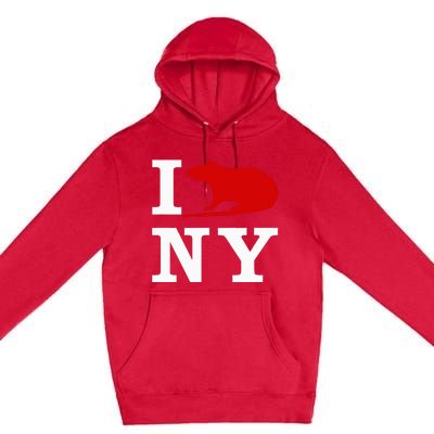 I Rat NY I Love Rats New York Premium Pullover Hoodie