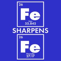IRON Sharpens IRON Proverbs 27:17 Bag